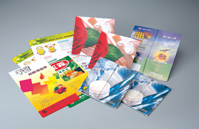 Flyer, Tabloid